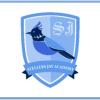 https://ca.mncjobz.com/company/stellers-jay-academy