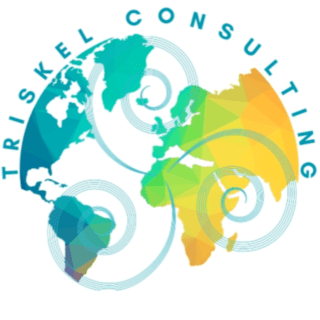 https://ca.mncjobz.com/company/triskel-consulting