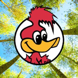 https://ca.mncjobz.com/company/woodys-rv-world