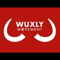 https://ca.mncjobz.com/company/wuxly-movement